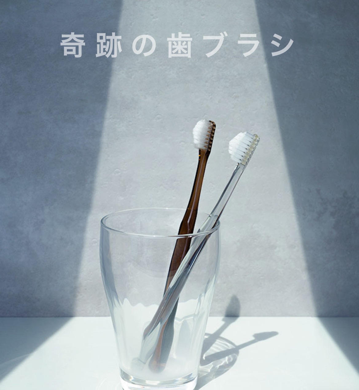 奇跡の歯ブラシ